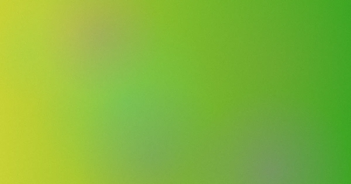 91原创视频推荐：新手按需求选入口